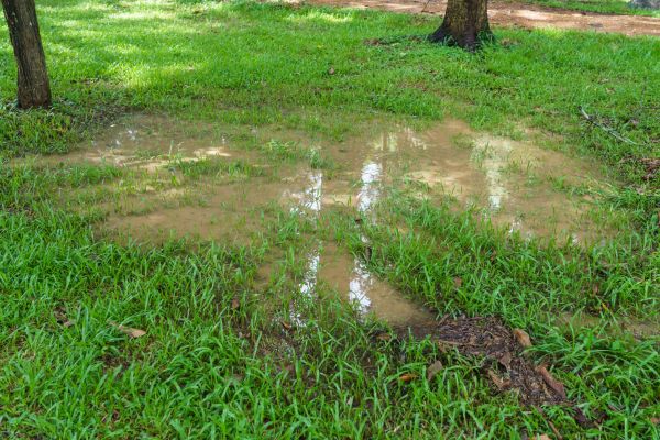 Storm Water Drainage Service in Bloomington