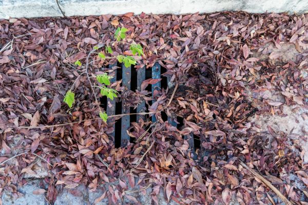 Yard Drain Unclogging in Bloomington