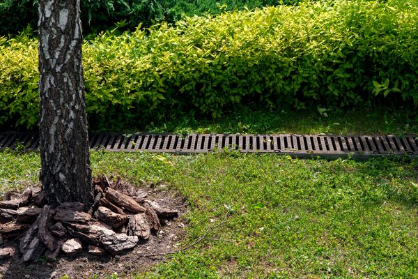 Wet Yard Drainage in Bloomington