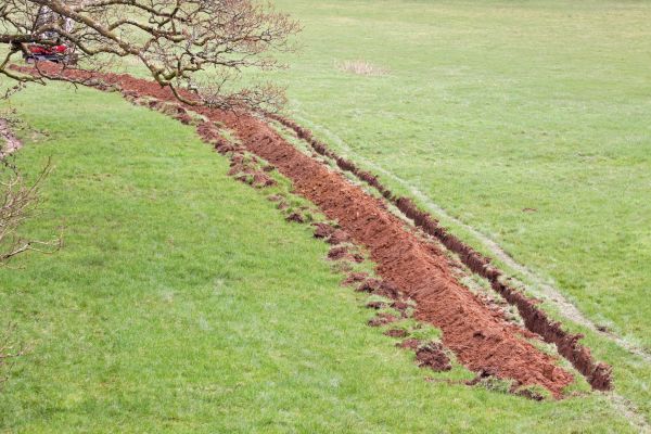 Cost of Swale Installation in Bloomington