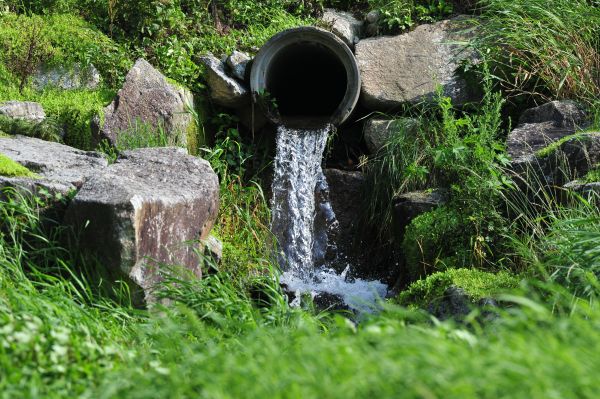 Water Redirection in Bloomington