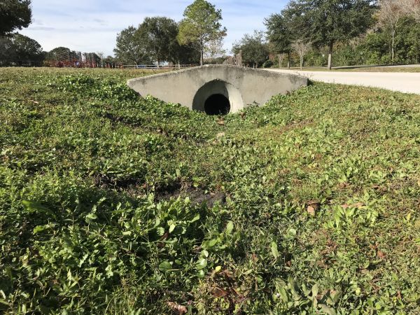 Cost of Swale Drainage Service in Bloomington